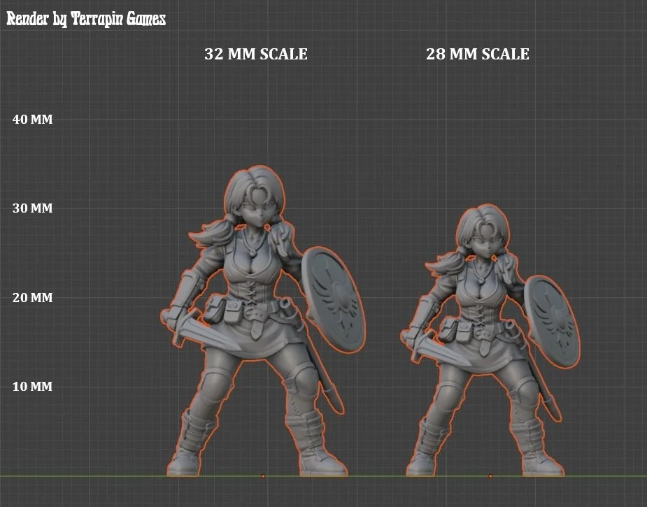 VIDEL SCALE.jpg