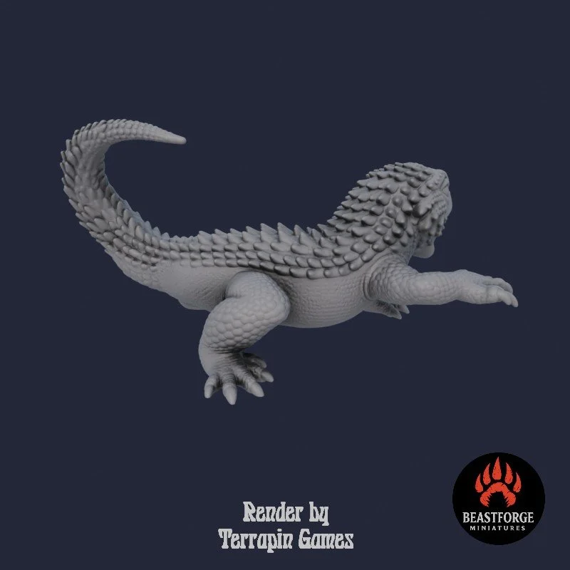 DESERT_LIZARD_2_4.jpg