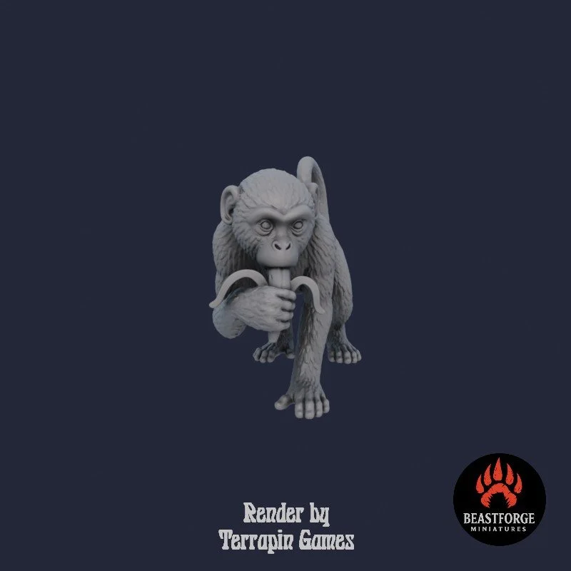 JUNGLE_MONKEY_1_2.jpg