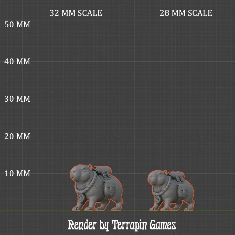 CAPYBARA_1_SCALE.JPG