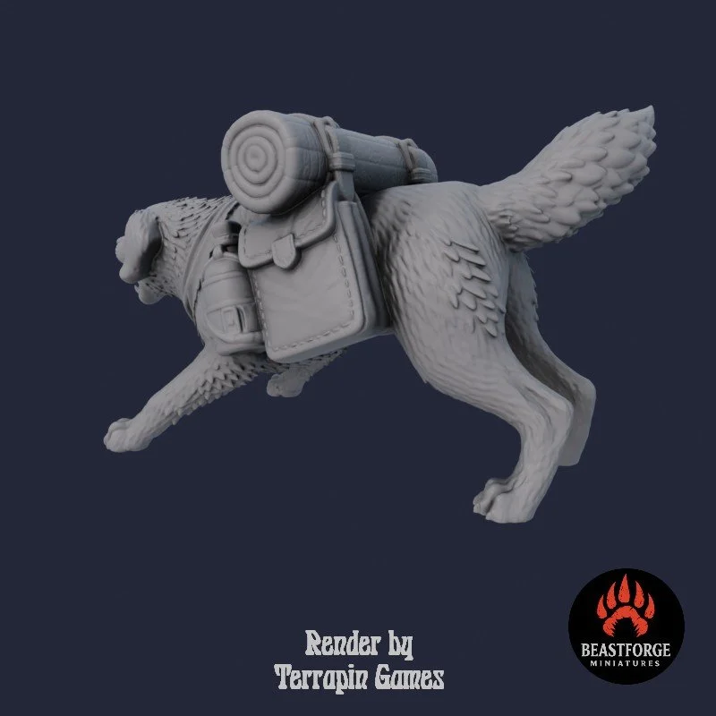 TRAVELER_DOG_2_3.jpg