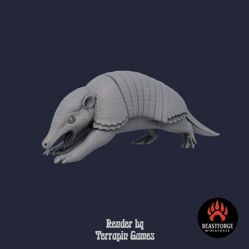 Mystic Companions - Armadillo 2