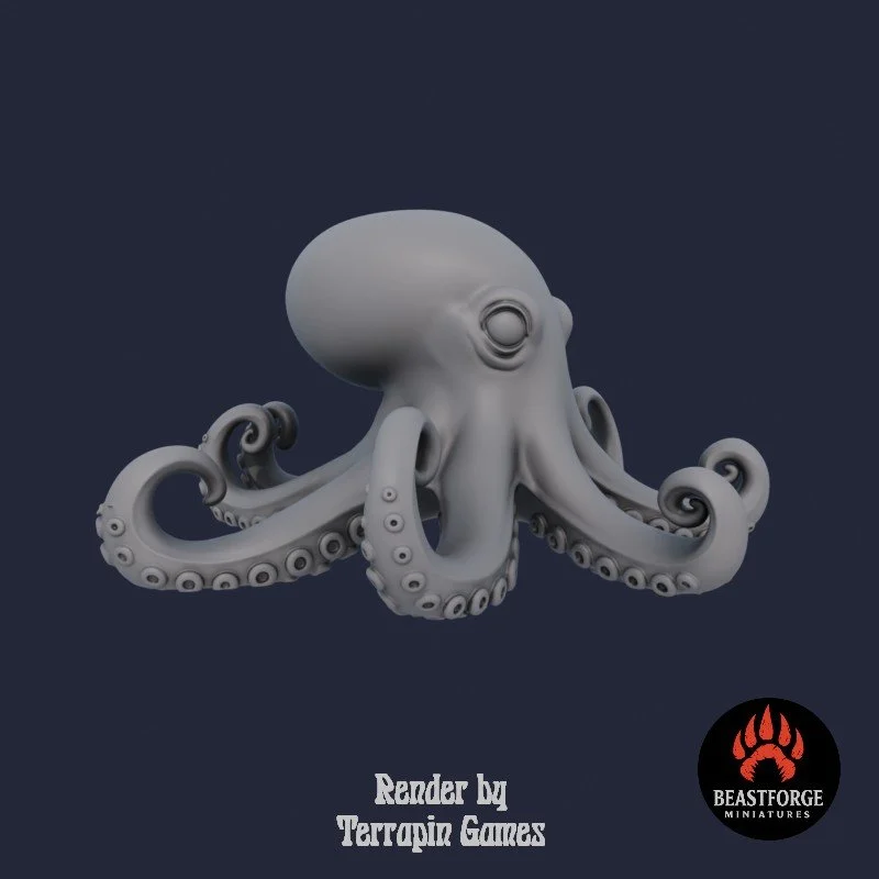 OCTOPUS_1_2.jpg
