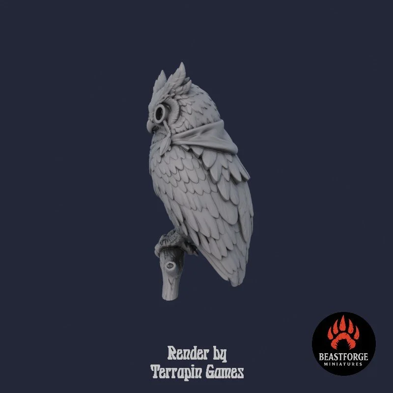 WISE_OWL_1_2.jpg
