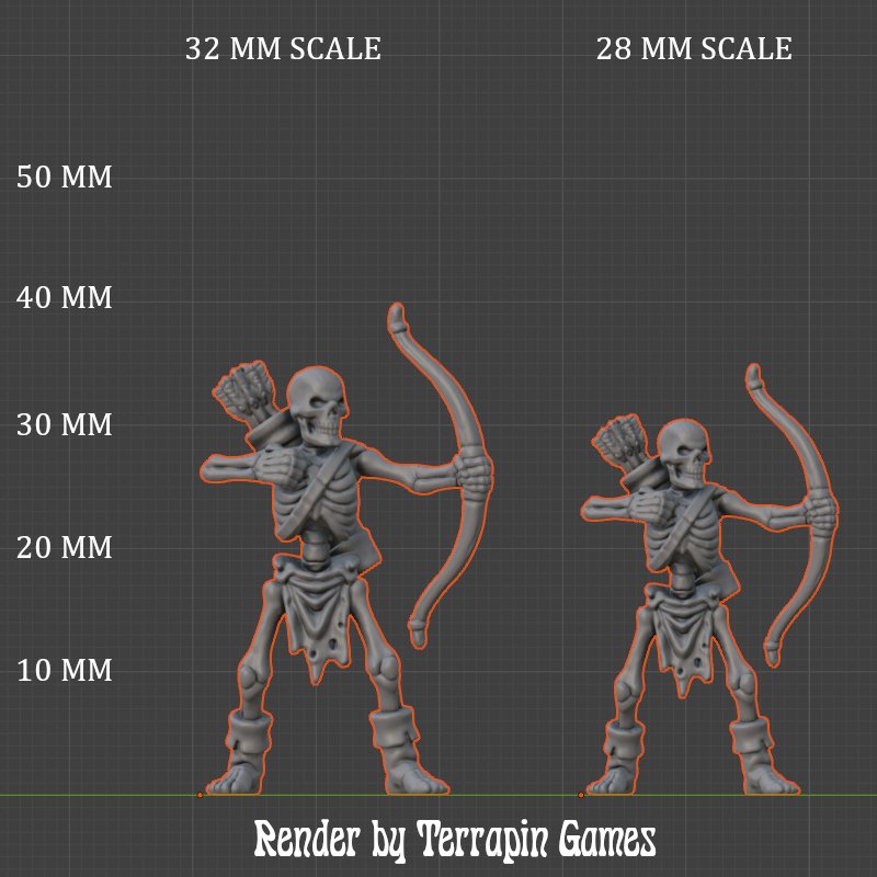 SKELETON_BOWMAN_1_SCALE.JPG