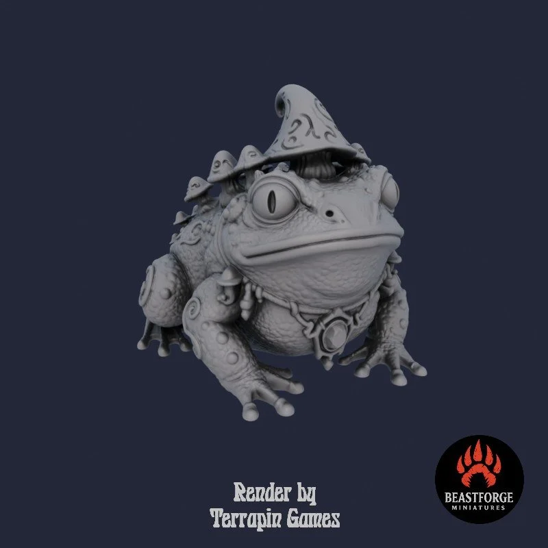 Mystic Companions - Arcane Toad 1