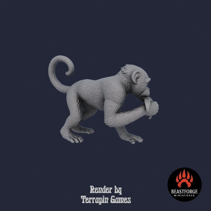 JUNGLE_MONKEY_1_3.jpg