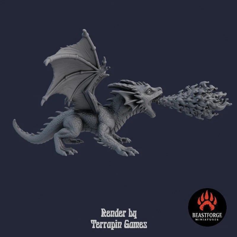 TINY_DRAGON_2_4.jpg