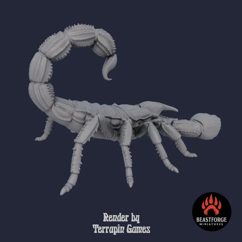 DESERT_SCORPION_1_3.jpg