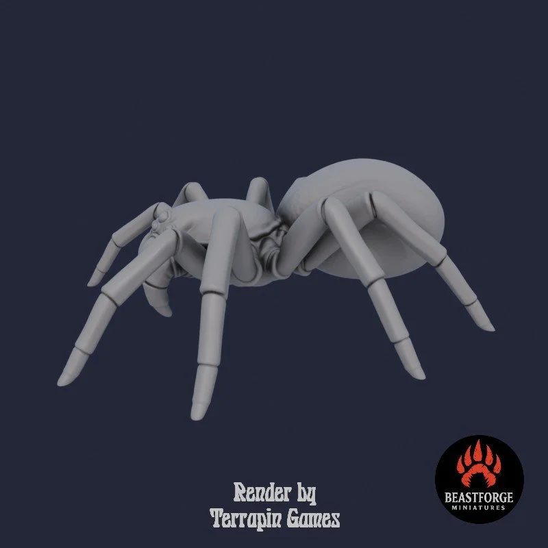 GIANT_SPIDER_1_3.jpg