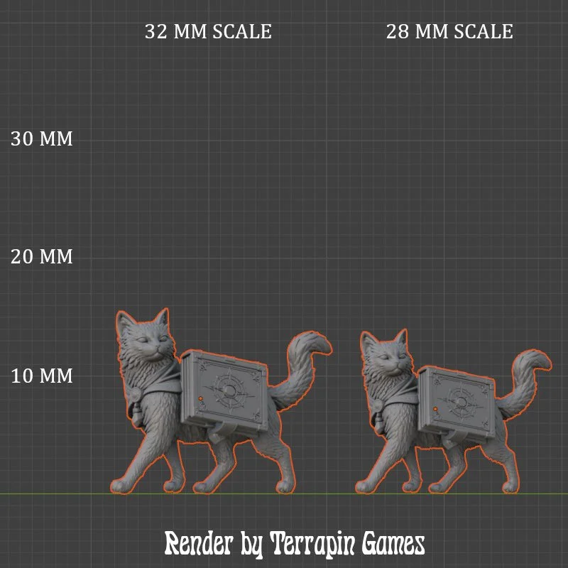 ARCANE_CAT_1_SCALE.jpg