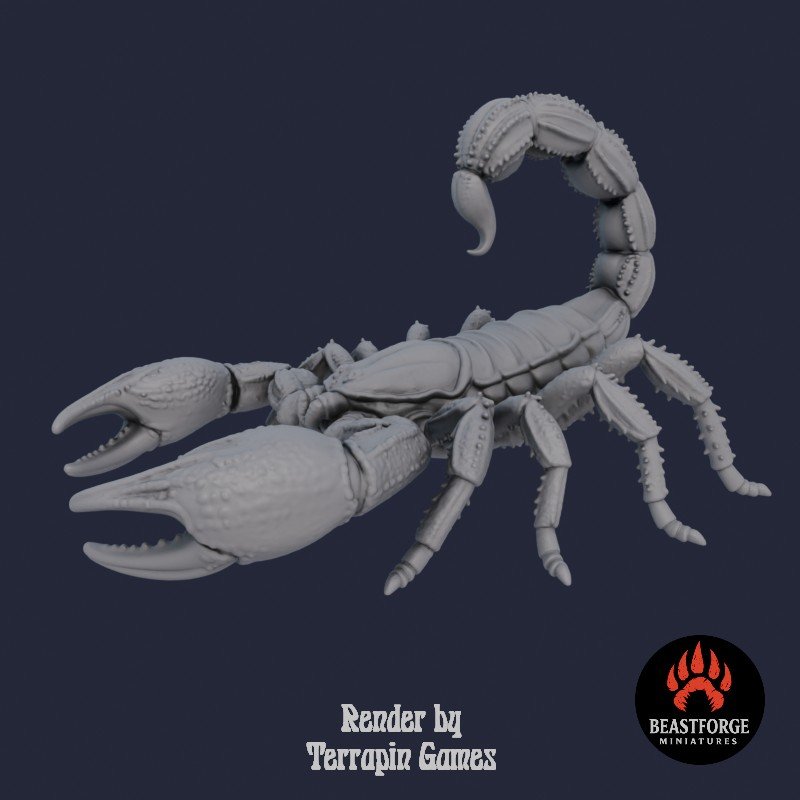 DESERT_SCORPION_1_2.jpg