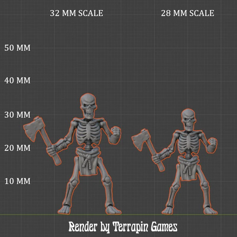 SKELETON_3_SCALE.JPG