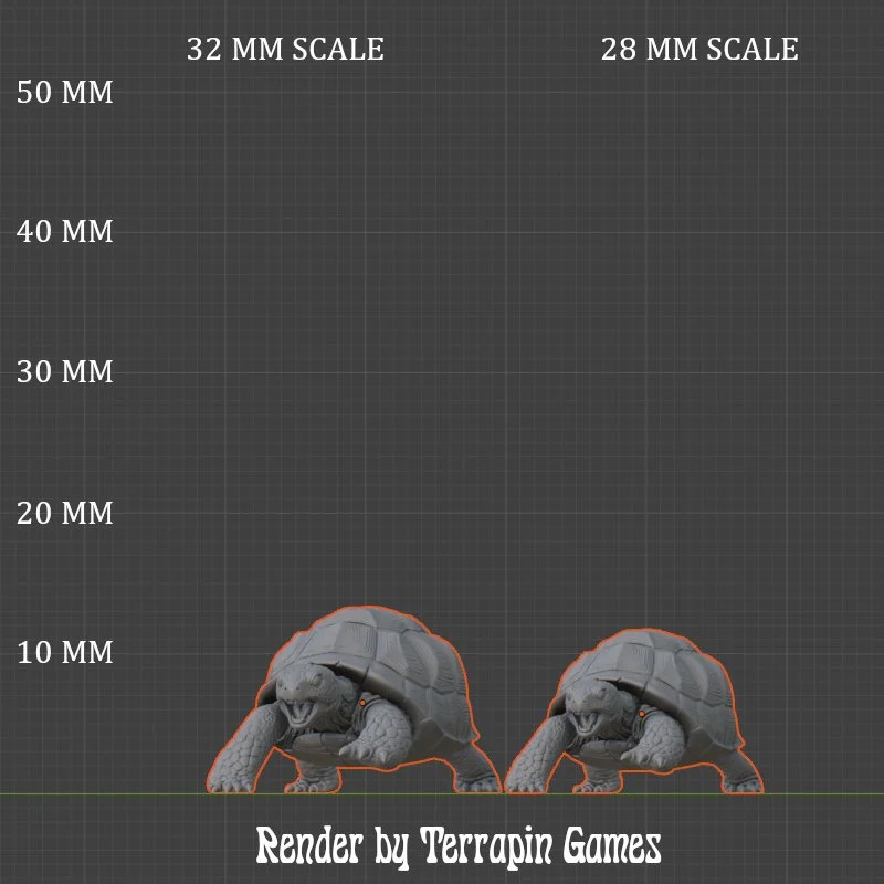 TORTOISE_2_SCALE.JPG