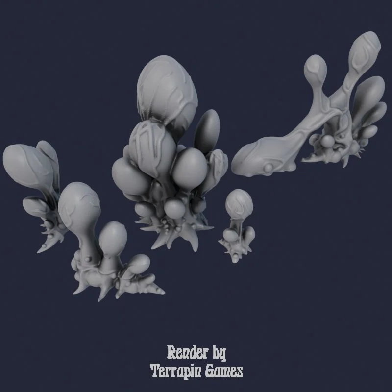 5 MIXED BLOB PLANTS 0.jpg
