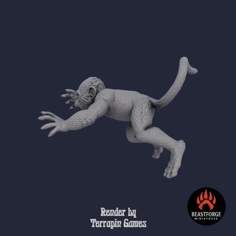 JUNGLE_MONKEY_2_4.jpg