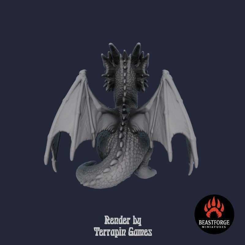 TINY_DRAGON_1_3.jpg