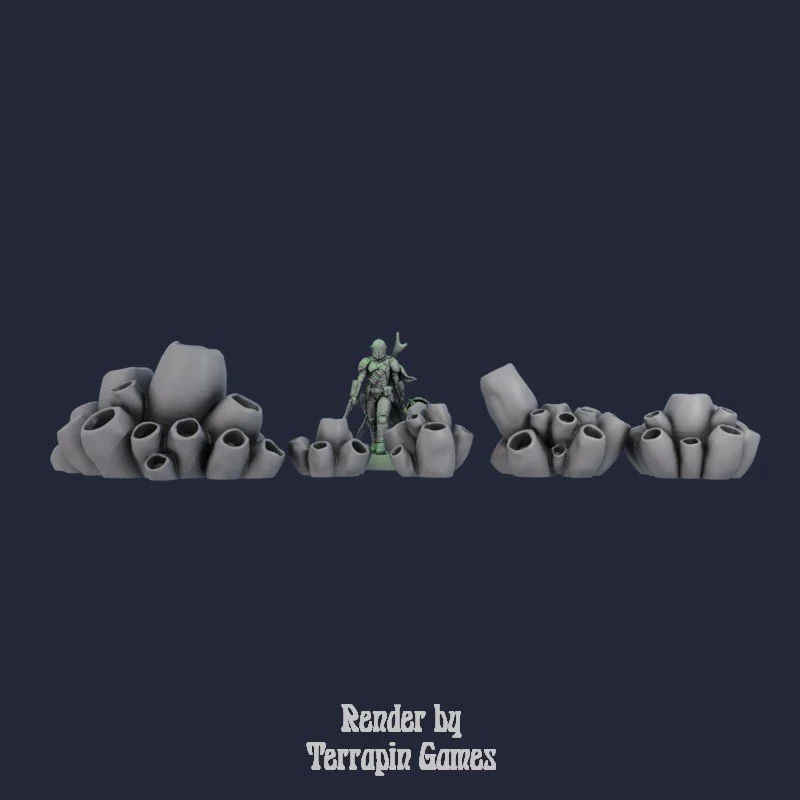 5 LARGE BARNACLES 2.jpg