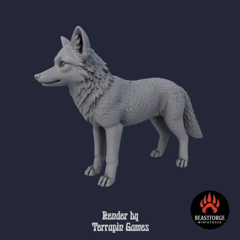 YOUNG_WOLF_1_2.jpg