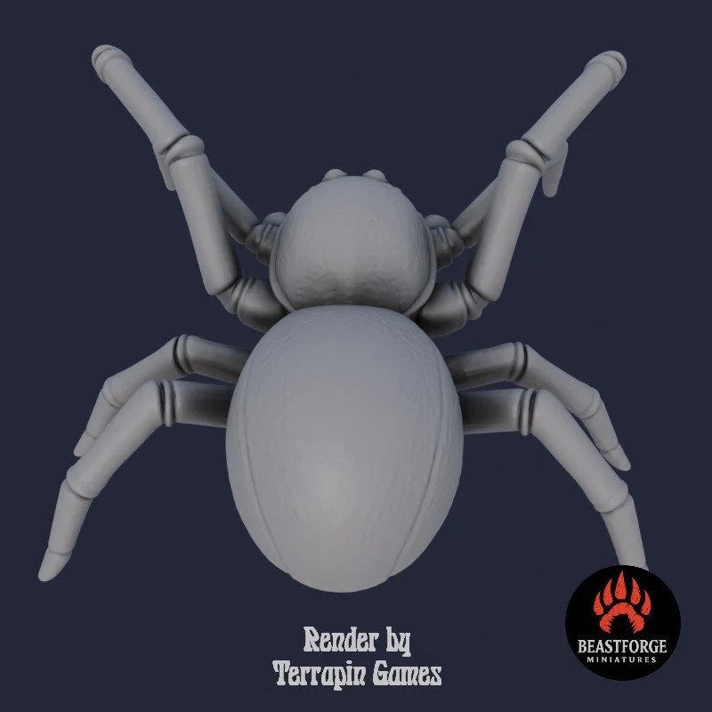 GIANT_SPIDER_2_4.jpg