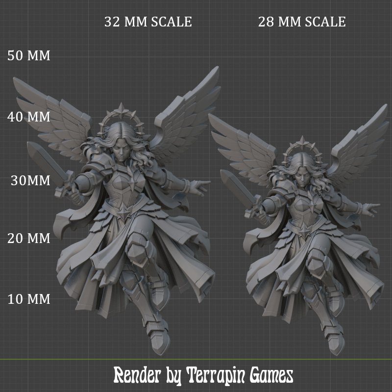 AURELIA_SCALE.jpg