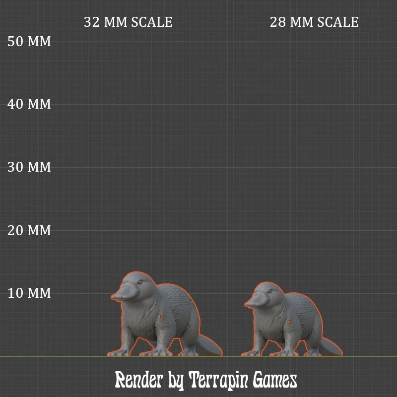 PLATYPUS_1_SCALE.JPG