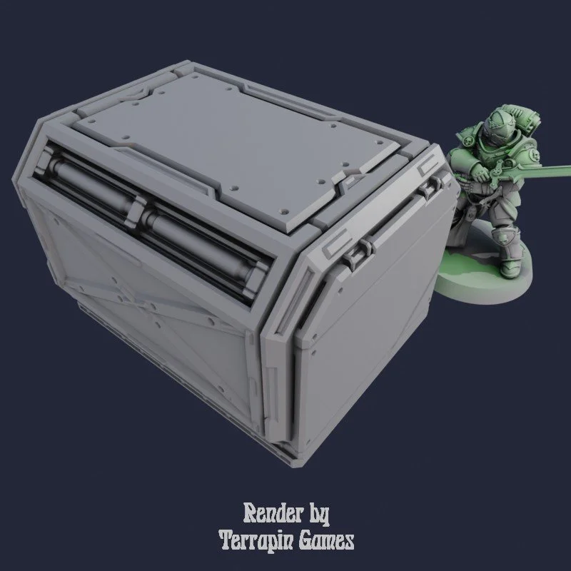 BACK_B1_2.jpg