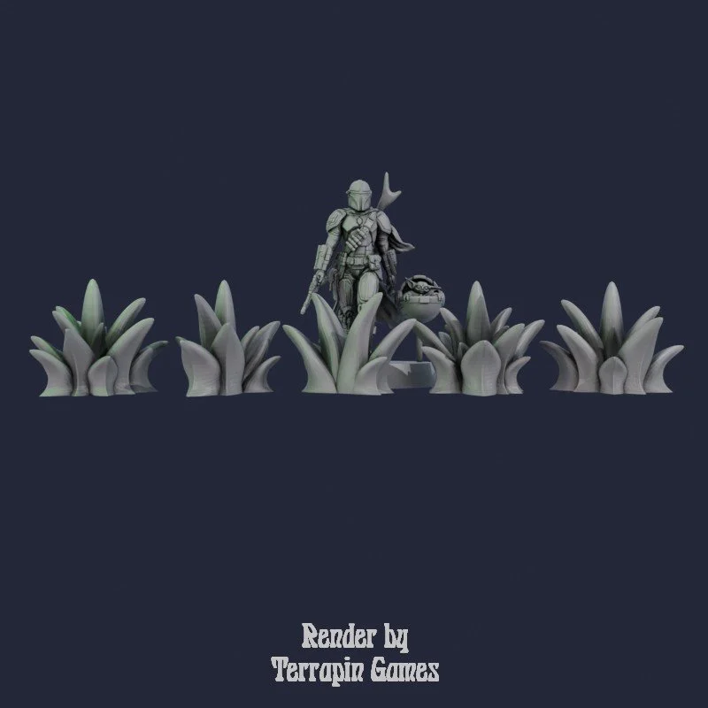 5 SMALL AGAVE_2.jpg