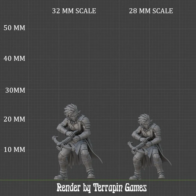 NIM_SCALE.jpg