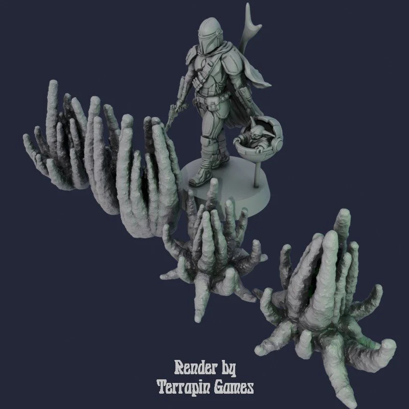 5 SMALL ROOT_1.jpg