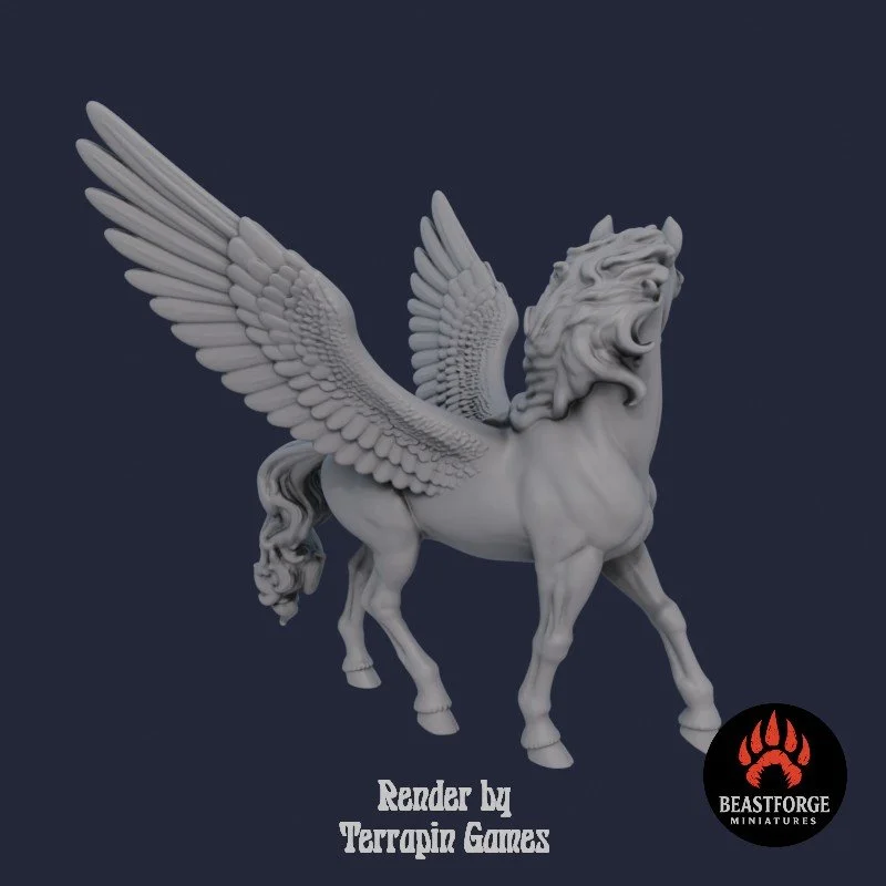 PEGASUS_1_4.jpg
