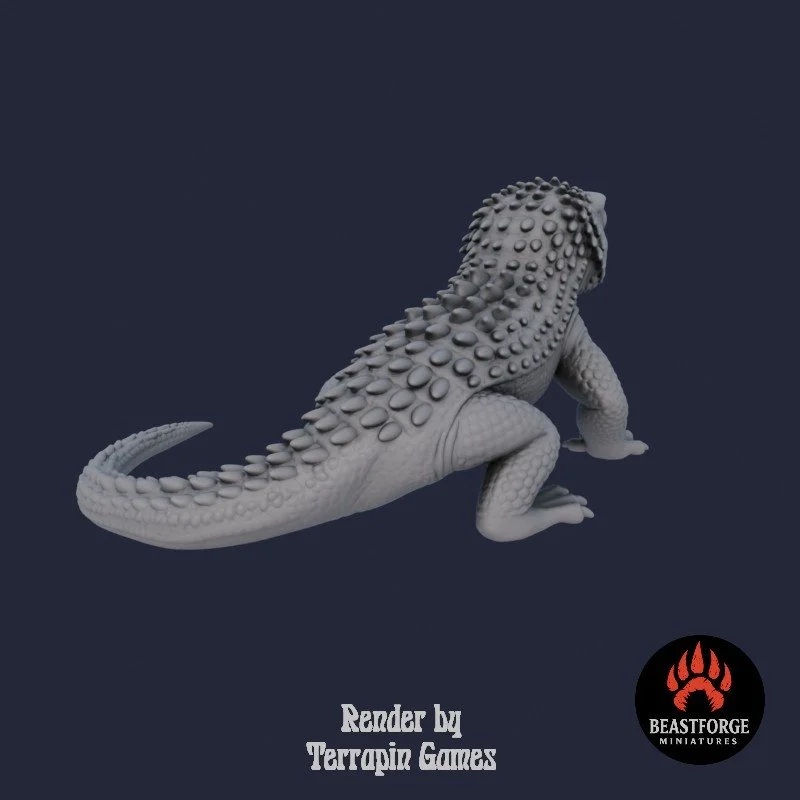DESERT_LIZARD_1_4.jpg