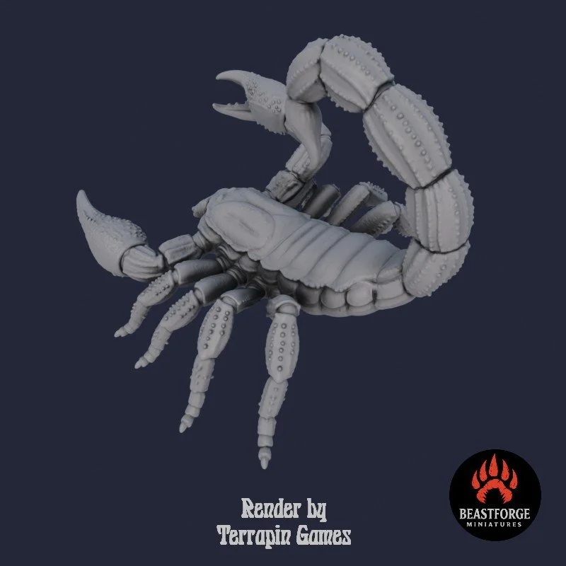 DESERT_SCORPION_2_4.jpg