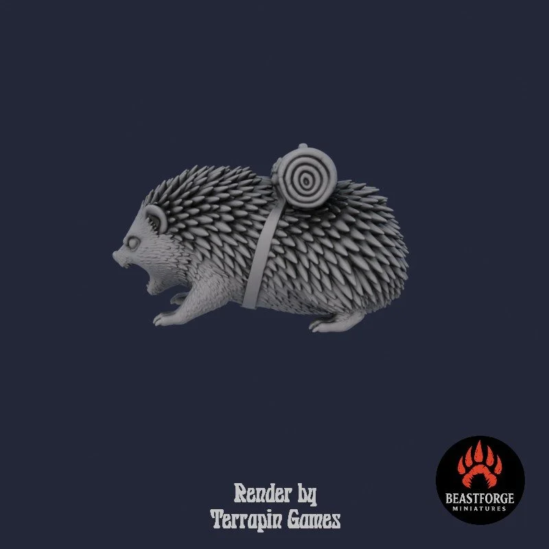 HEDGEHOG_2_2.jpg