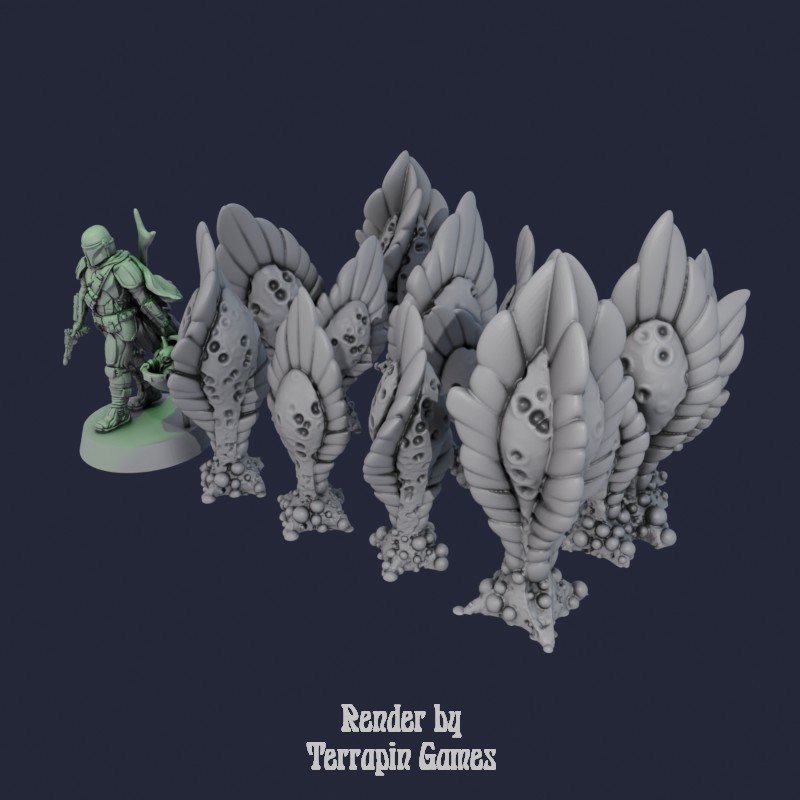 10 FEATHER BLOB PLANTS 2.jpg