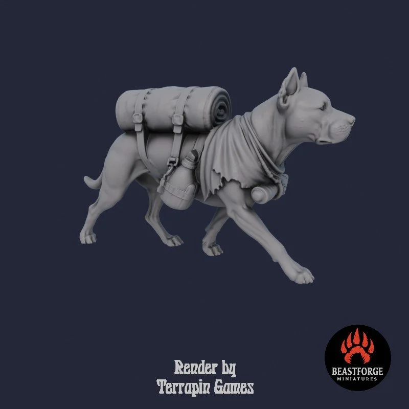 Mystic Companions - War Hound 1