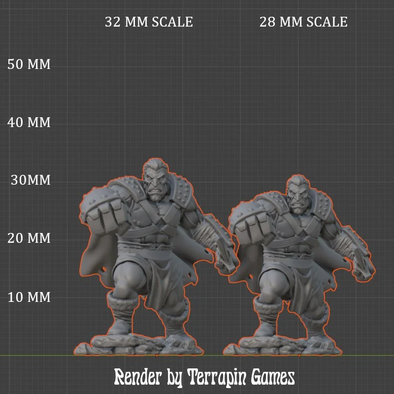 FISTO_SCALE.jpg
