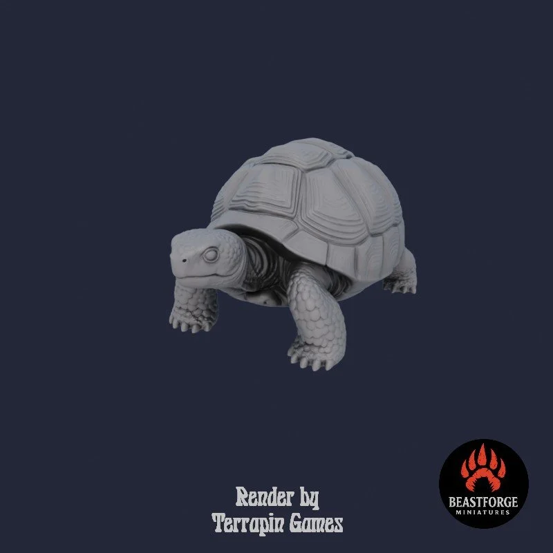 Mystic Companions - Tortoise 1