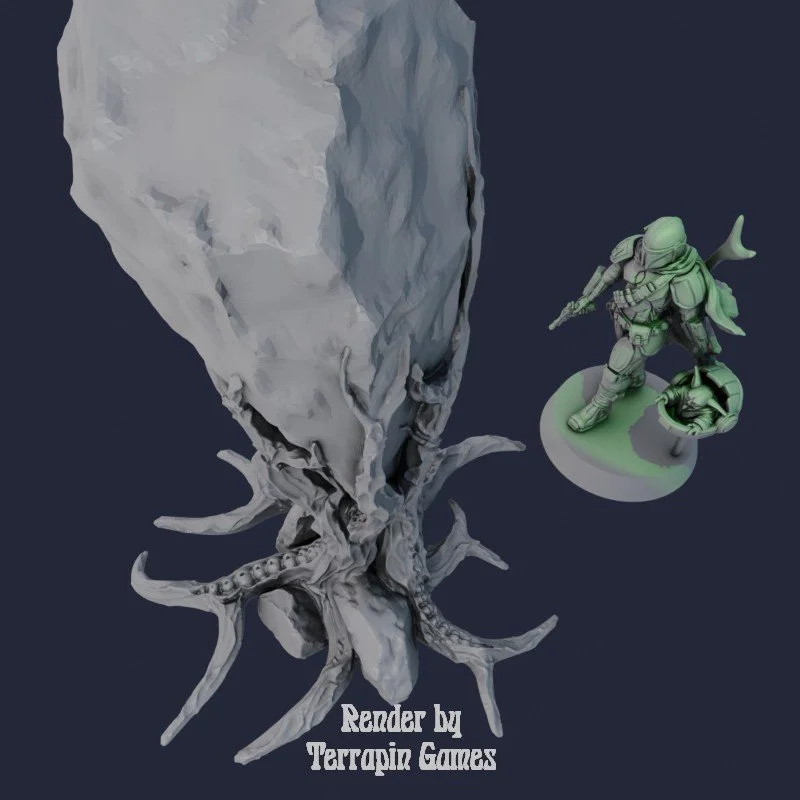 1 ROCK CLAW PLANT 3.jpg