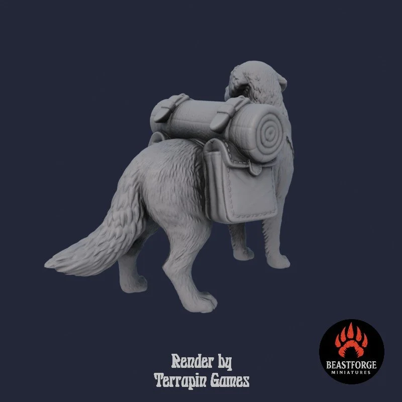 TRAVELER_DOG_1_4.jpg