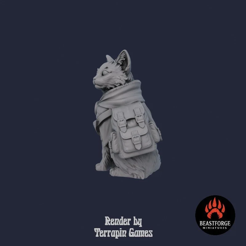 ADVENTURER_CAT_1_2.jpg