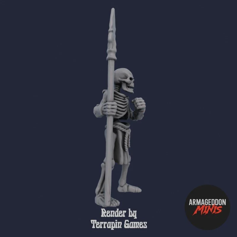 SKELETON_2_3.jpg