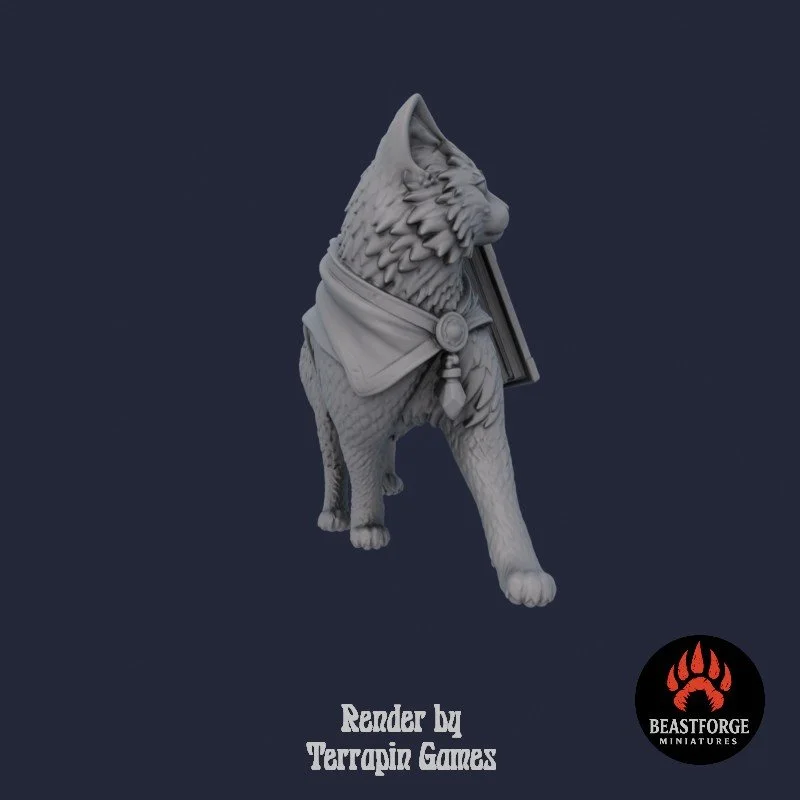 ARCANE_CAT_1_3.jpg