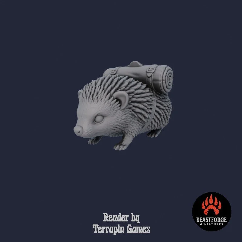 Mystic Companions - Hedgehog 1