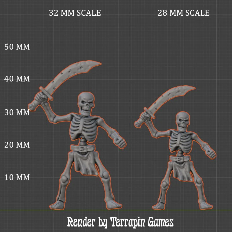 SKELETON_1_1_SCALE.JPG
