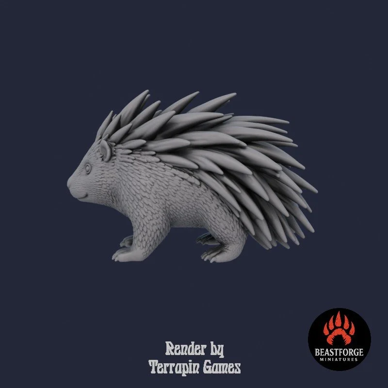 PORCUPINE_1_3.jpg