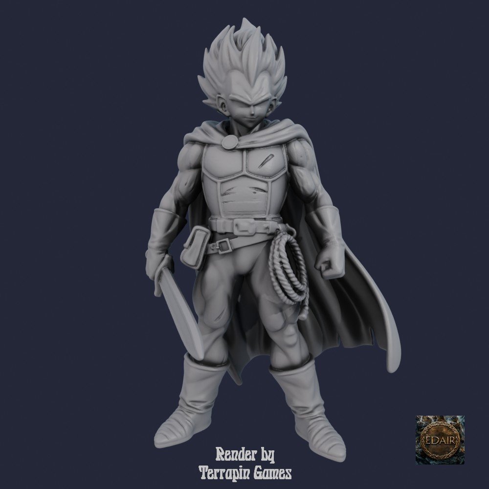 Dragon Warriors Z – Vegeta