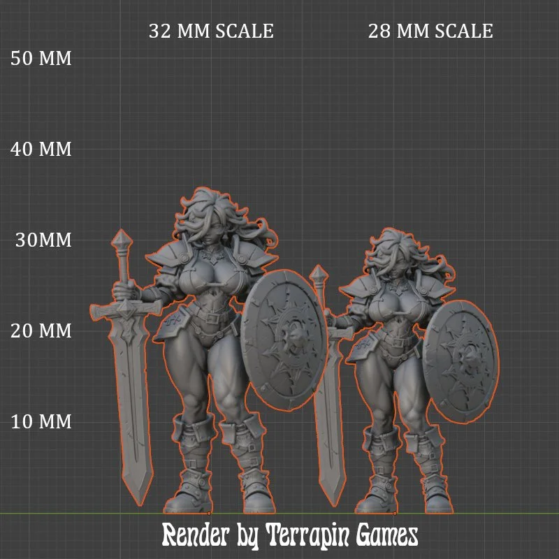 WARRIOR_7_SCALE.JPG