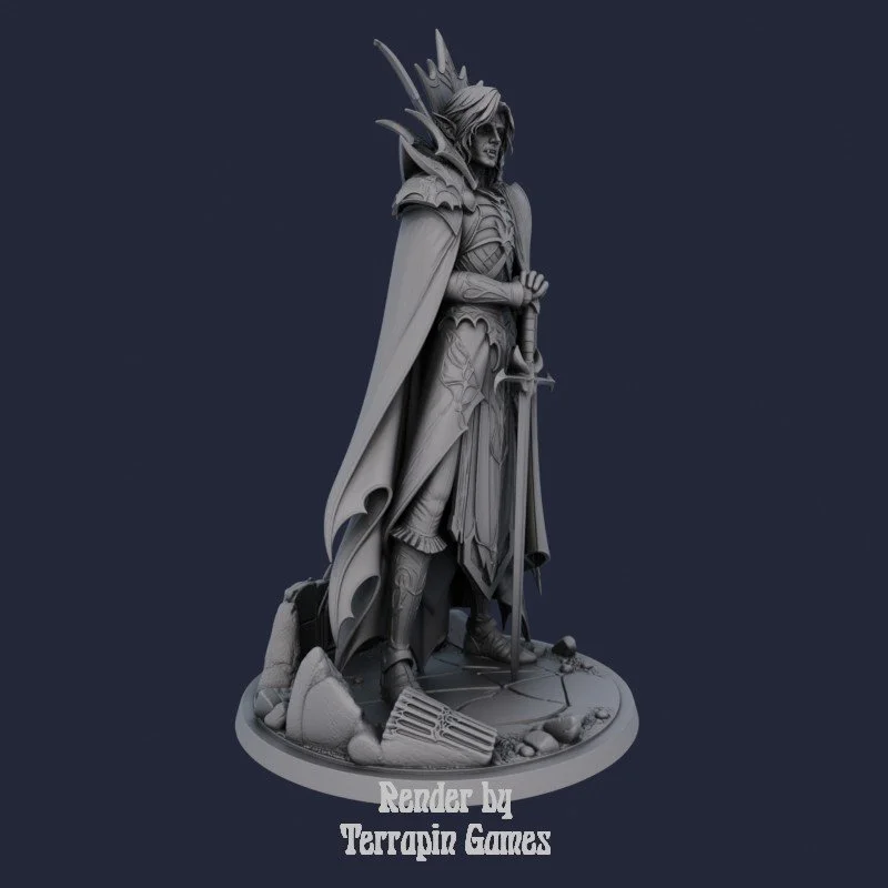 TCT - Sir Darius Swordsman