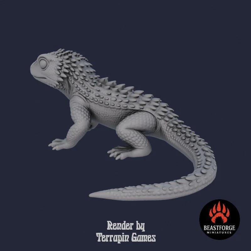 DESERT_LIZARD_1_3.jpg